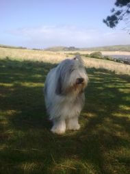 Padstow Common 12.09.2011